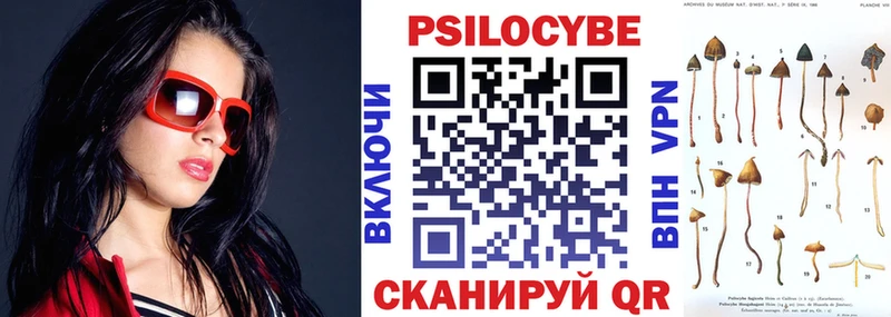Галлюциногенные грибы Cubensis  Абакан 