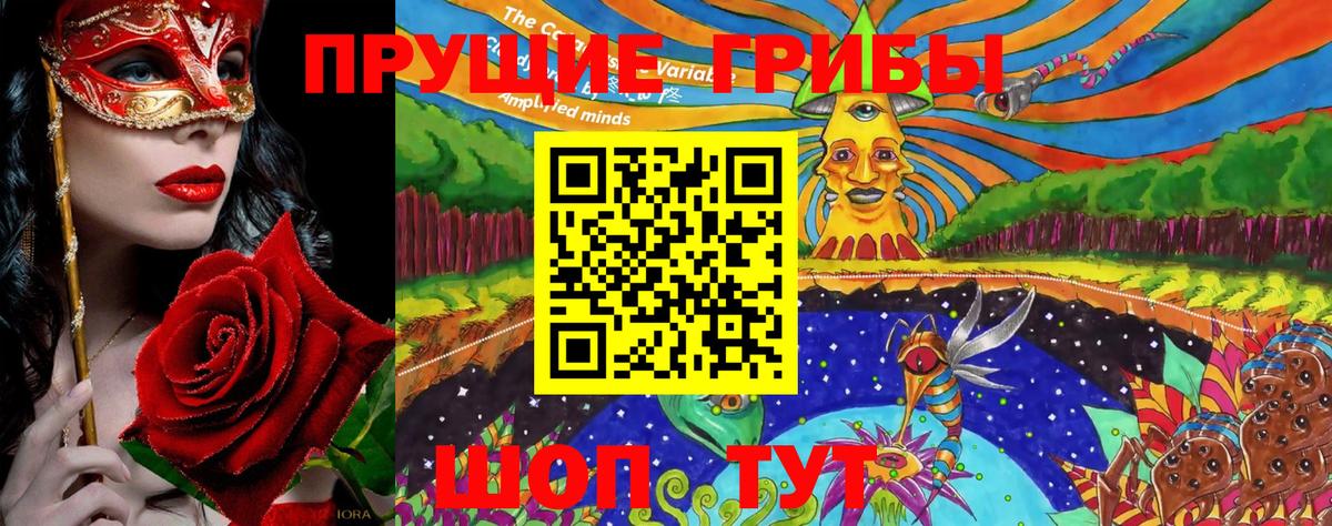 где можно купить наркотик  Псилоцибиновые грибы Magic Shrooms  Абакан  Вход с VPN  Галлюциногенные грибы ЛСД 
